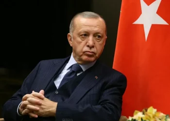 Түркия тағы бір мұсылман мемлекетін қорғауға кірісті