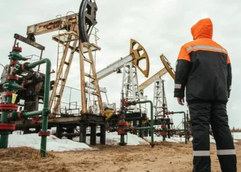 Қазақтың «Дала леопарды» кен орнының қазынасы 5 есе көп болып шықты