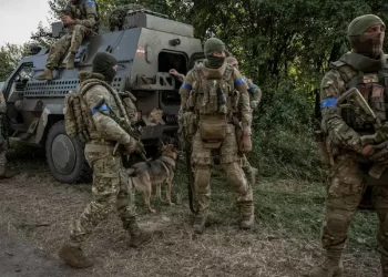 Ресей неліктен Украина әскерінің басып кіруіне дайын болмай шықты?