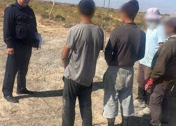 Түркістан облысында полицейлер бір тәулік ішінде көші-қон заңнамасын бұзған 280 адамды анықтады