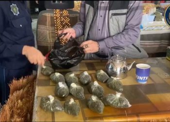 Гаражда заңсыз сақталған 45 келіден астам насыбайды полиция анықтады