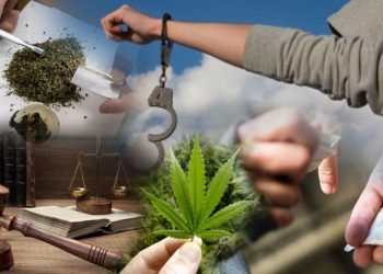 Есірткі қылмысы үшін сотталған жастардың туыстары үндеу жасады