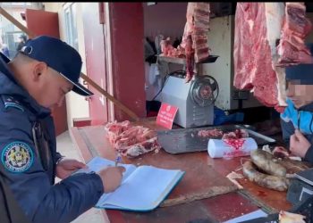 Түркістан облысында 2000-нан астам әкімшілік құқық бұзушылық анықталды