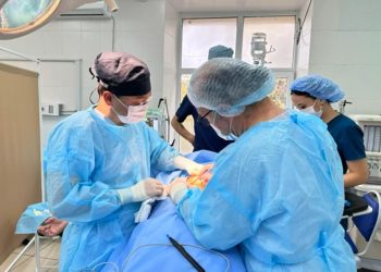 В Алматинской области врачи из Турции провели мастер-класс