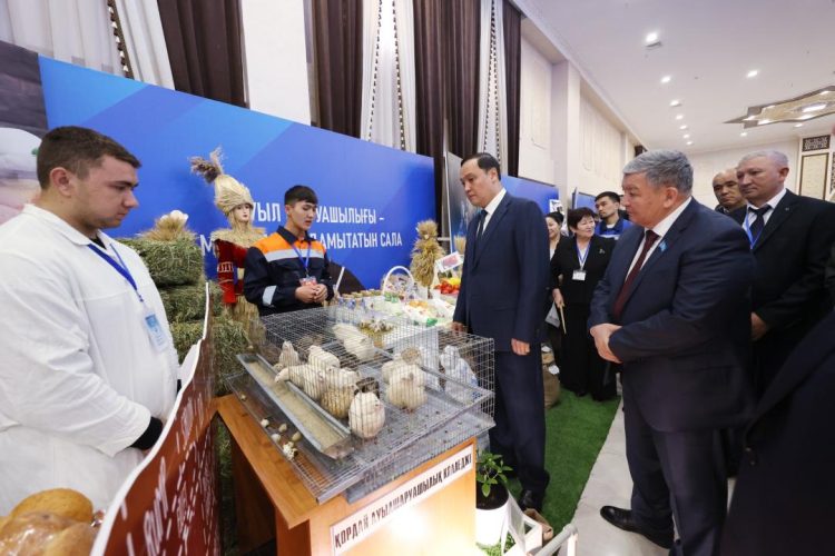 Жамбыл облысында Жұмысшы мамандықтар жылы салтанатты түрде ашылды